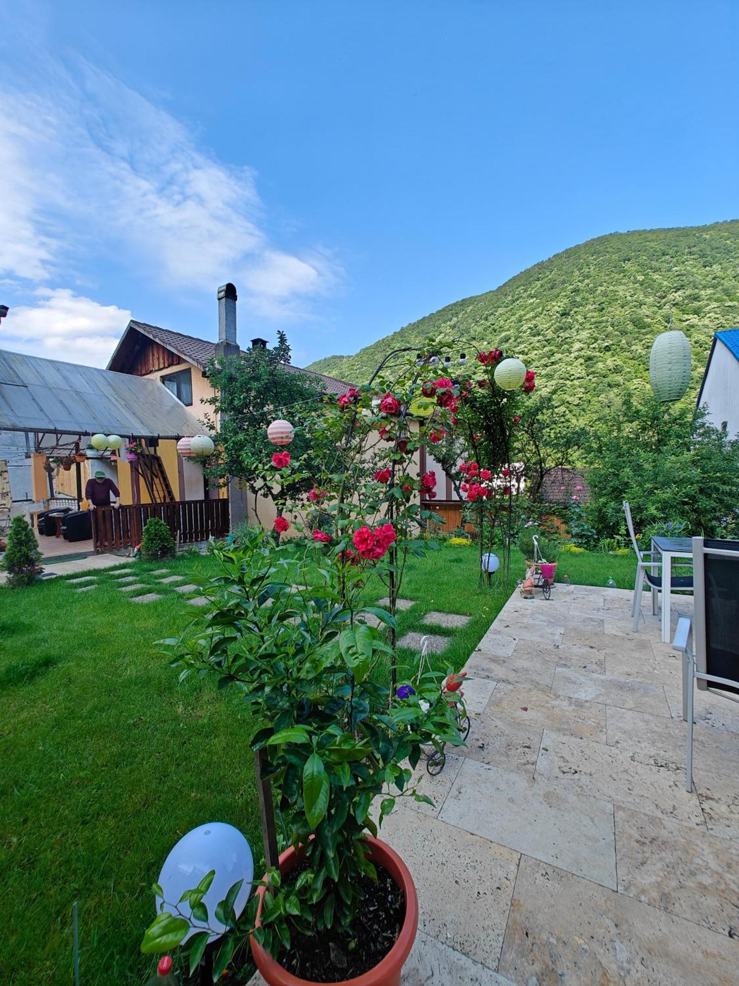 Апартаменты Casa Miclau Бэиле-Еркулане Экстерьер фото
